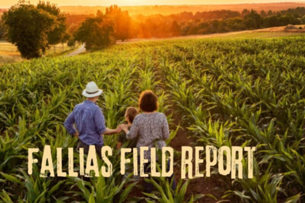 fallias field report