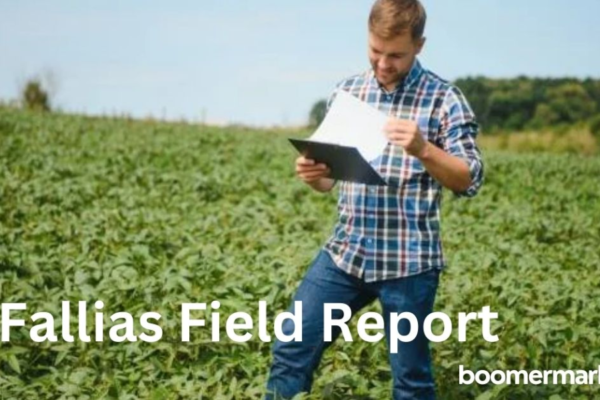 fallias field report