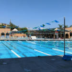 alga norte pool